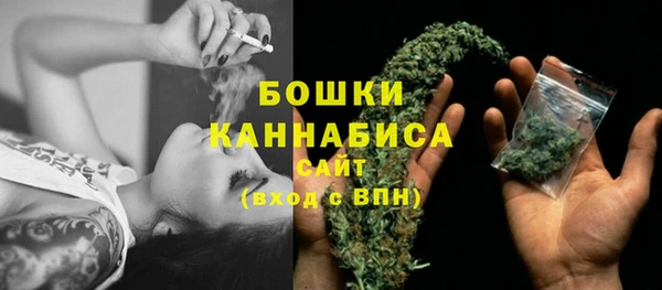 амф Аркадак