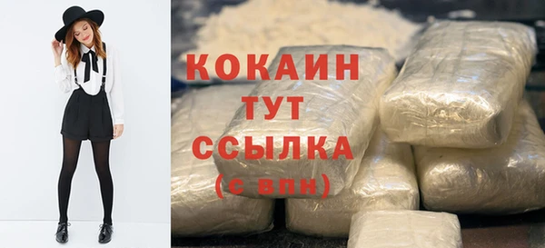 сатива Армянск